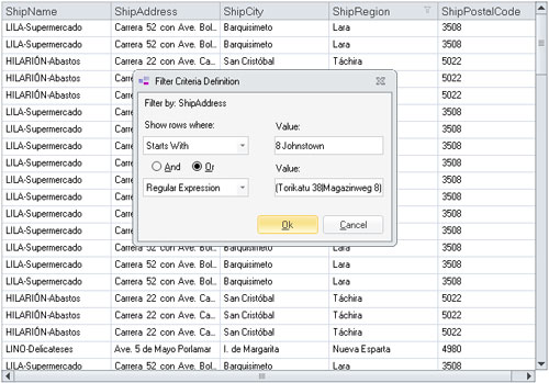 WinForms Grid - Filter Definition