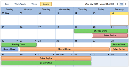 Silverlight Scheduler Appointment Categories