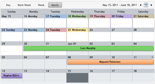 Silverlight Scheduler Special Days