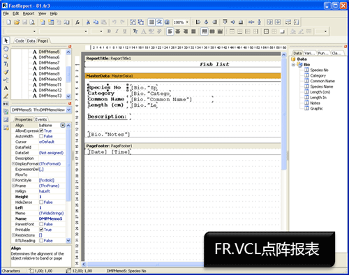 FastReport,FastReport报表,VCL报表,.Net报表