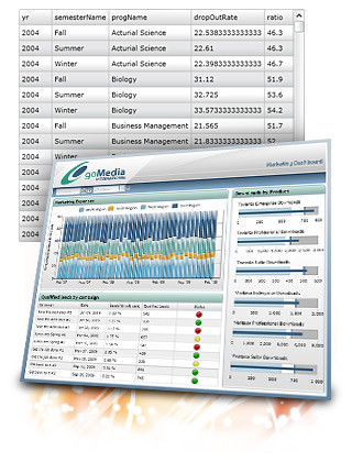 DundasDashboard,商业智能仪表盘,.NET,仪表盘，Dashboard数据网格控件，Dashboard Data Grid Control